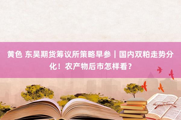 黄色 东吴期货筹议所策略早参｜国内双粕走势分化！农产物后市怎样看？