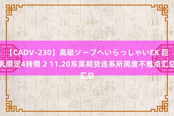 【CADV-230】高級ソープへいらっしゃいEX 巨乳限定4時間 2 11.20东吴期货连系所周度不雅点汇总