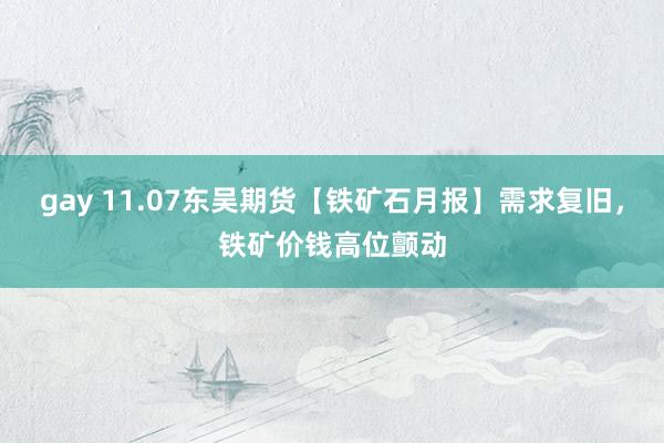 gay 11.07东吴期货【铁矿石月报】需求复旧，铁矿价钱高位颤动