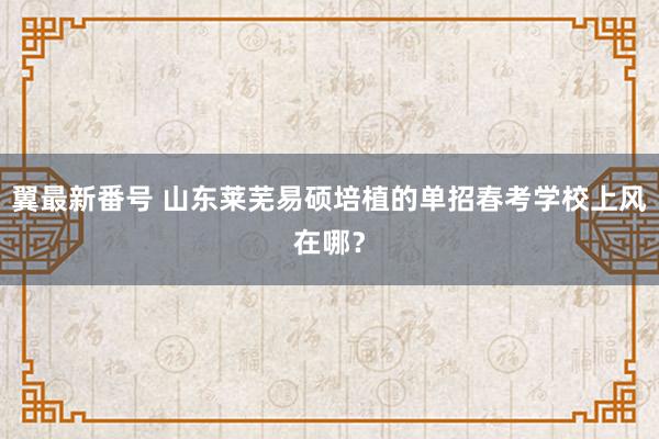 翼最新番号 山东莱芜易硕培植的单招春考学校上风在哪？