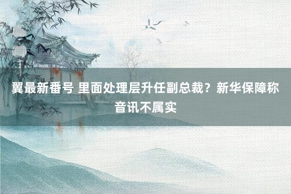 翼最新番号 里面处理层升任副总裁？新华保障称音讯不属实