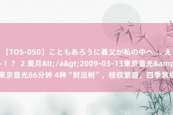 【TOS-050】こともあろうに義父が私の中へ… え～中出しなのぉ～！？ 2 美月</a>2009-03-13東京音光&$東京音光86分钟 4种“财运树”，枝杈繁盛，四季常绿，枝杈旺寓意好，带来好财运