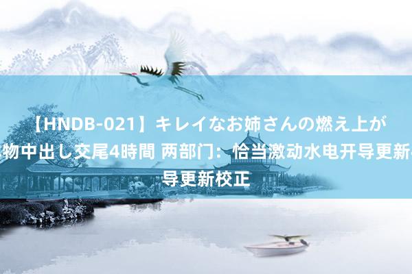 【HNDB-021】キレイなお姉さんの燃え上がる本物中出し交尾4時間 两部门：恰当激动水电开导更新校正