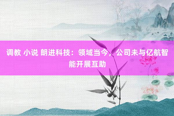 调教 小说 朗进科技：领域当今，公司未与亿航智能开展互助