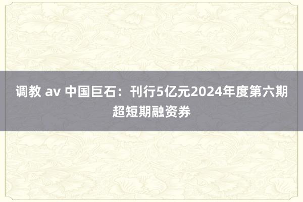 调教 av 中国巨石：刊行5亿元2024年度第六期超短期融资券