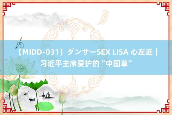 【MIDD-031】ダンサーSEX LISA 心左近｜习近平主席爱护的“中国草”