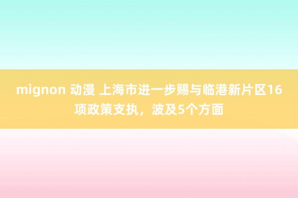 mignon 动漫 上海市进一步赐与临港新片区16项政策支执，波及5个方面