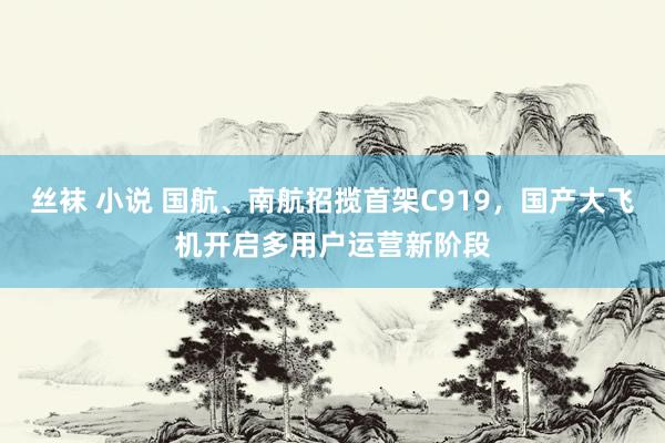 丝袜 小说 国航、南航招揽首架C919，国产大飞机开启多用户运营新阶段