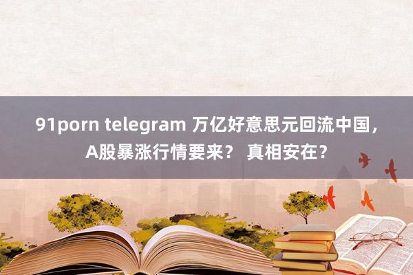 91porn telegram 万亿好意思元回流中国，A股暴涨行情要来？ 真相安在？