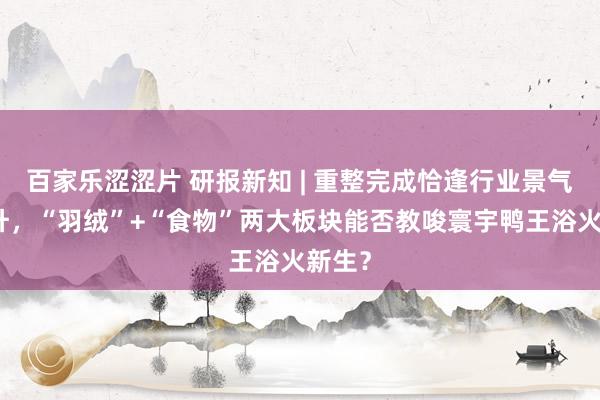 百家乐涩涩片 研报新知 | 重整完成恰逢行业景气度回升，“羽绒”+“食物”两大板块能否教唆寰宇鸭王浴火新生？