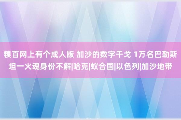 糗百网上有个成人版 加沙的数字干戈 1万名巴勒斯坦一火魂身份不解|哈克|蚁合国|以色列|加沙地带