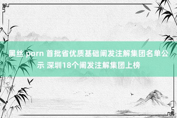 黑丝 porn 首批省优质基础阐发注解集团名单公示 深圳18个阐发注解集团上榜