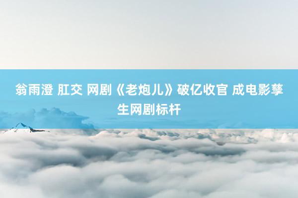 翁雨澄 肛交 网剧《老炮儿》破亿收官 成电影孳生网剧标杆